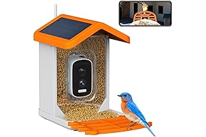 Bird Lover's Delight: Wireless Outdoor Bird Feeder with AI Camera