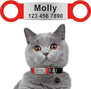 Taglory Silent Slide On Puppy Dog Cat ID Tags,Personalized Laser Engraved On Collar,Elastic Silicone Band and Stainless Steel Name Plate,Universal Design for Most Style Pet Collars (Red,Pack of 1)