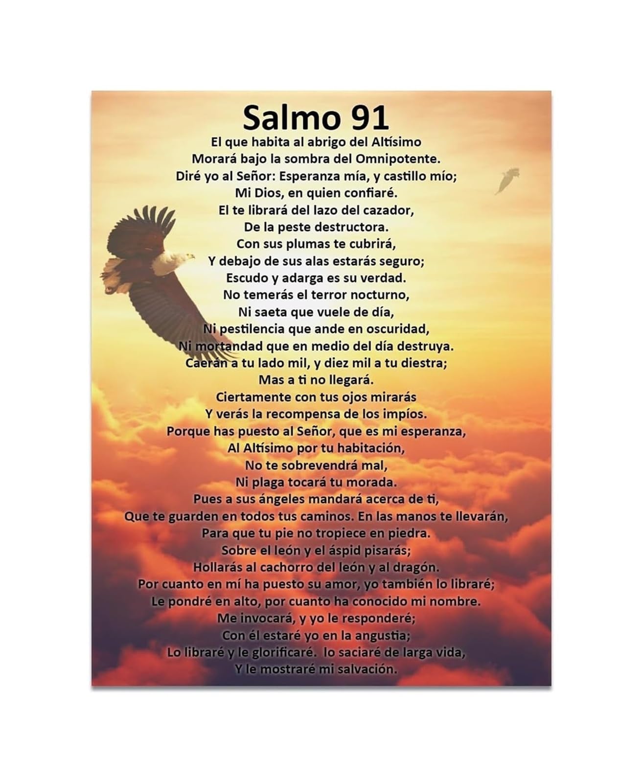 BIANMTSW Salmo 91 Poster en Español Texto Bíblico Protección Divina Christian Wall-Art for Spanish Speaking Home Decor Unframed,16x24inch(40x60cm)