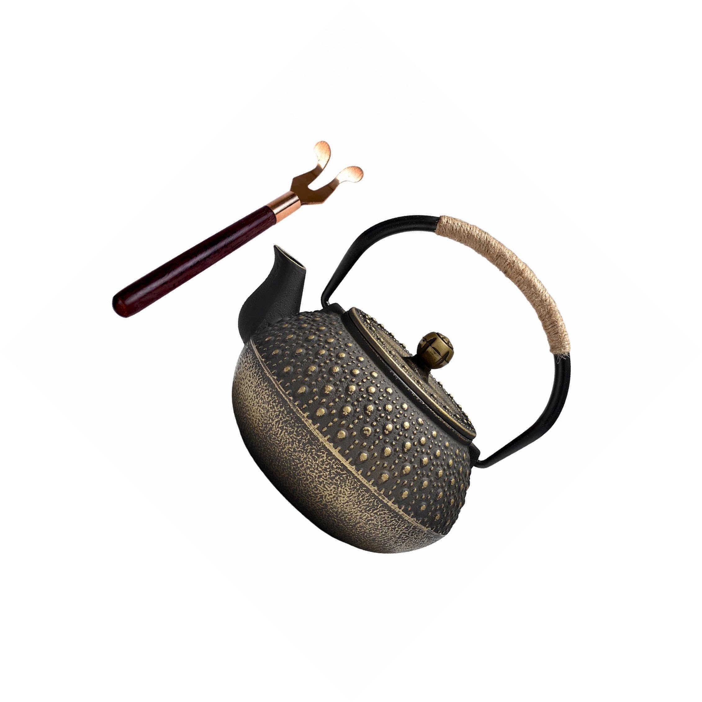 Tetera de hierro fundido, tetera japonesa para doméstico, exterior, camping, diseñada para preparar infusiones, hervidor de agua para cocina, hotel.