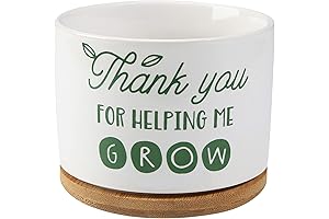 Teachers Appreciation: Ceramic Planter Pot