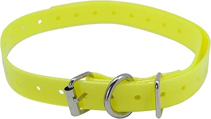 Dog care training collar replacement strap Clearance