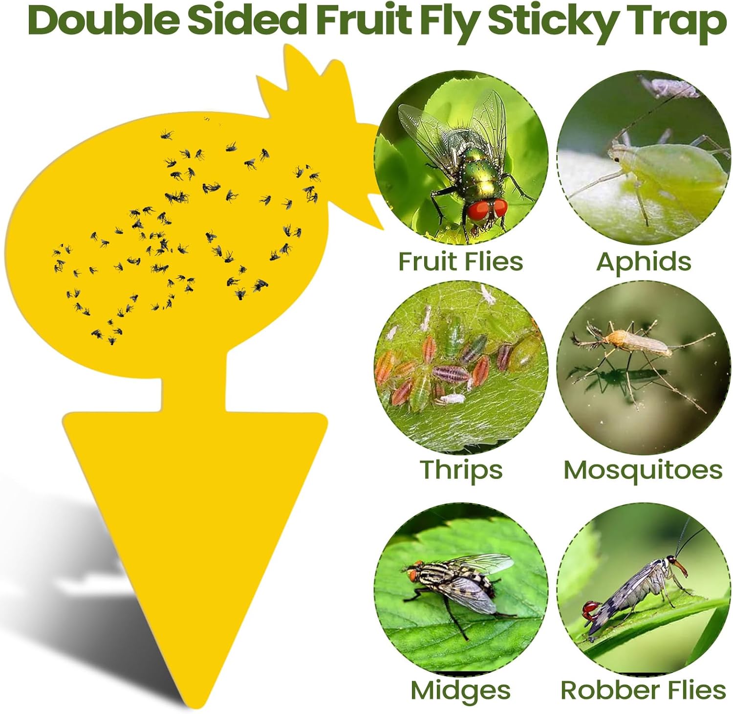 Qualirey 200 Sheets Fruit Fly Sticky Traps for Fruit Fly Gnat Trap for House Indoors Sticky Traps Catcher for Gnats Fungus Gnats Mosquito Catcher for Kitchen Outdoor Plants (Fresh Style, Yellow)