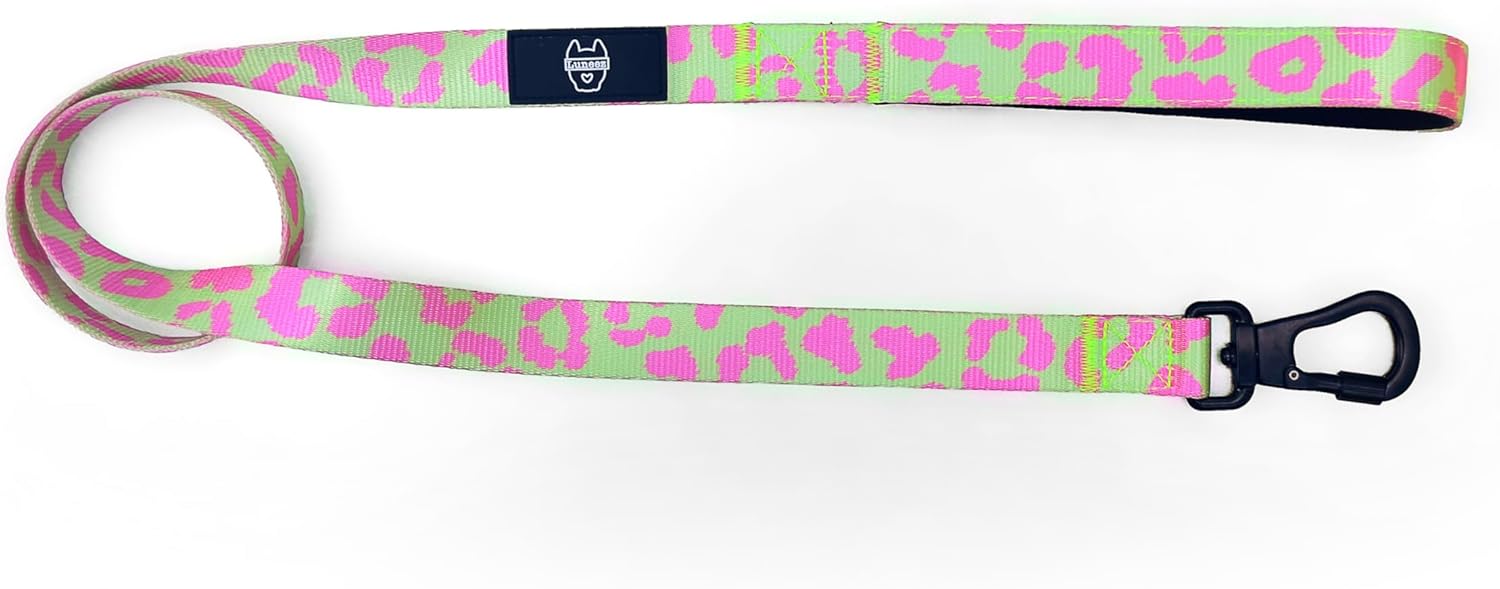 Premium Dog Leash, Blue and Yellow Striped Pattern, 48 x 0.8 Inches, Small/Medium Breed, Hook and Loop Closure (Large, Leopard)