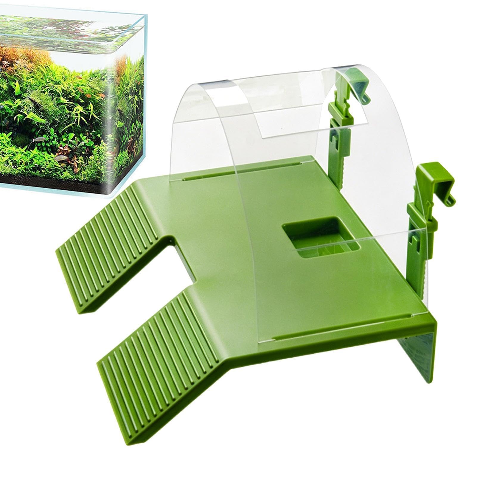 Plataforma De Asoleamiento Tortugas,Doble Escalera Reptil Descanso | Zona Asolamiento Reptiles - para Criadores, Dueños Mascotas, Amantes Animales, Terrarios, Tiendas, Hogar, Oficina y Recintos y los