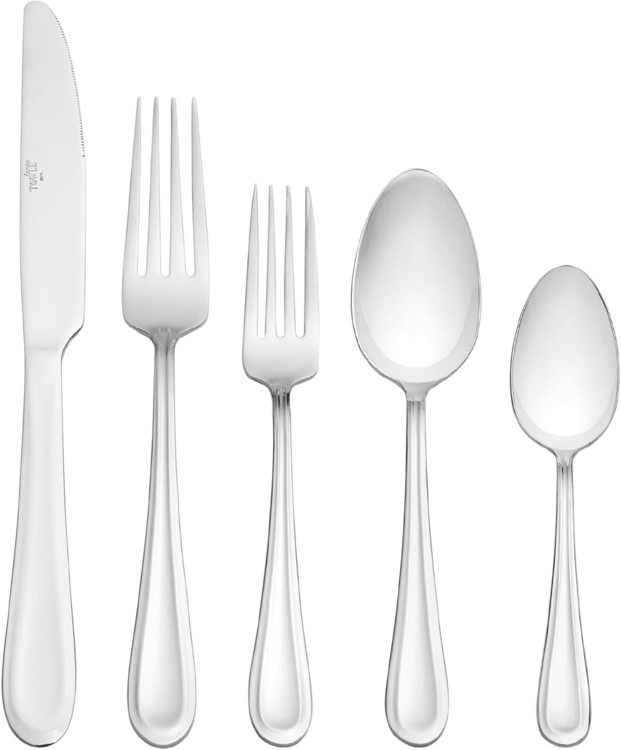 International Silver Forte 20-Piece Stainless Steel Flatware Set, Service for 4