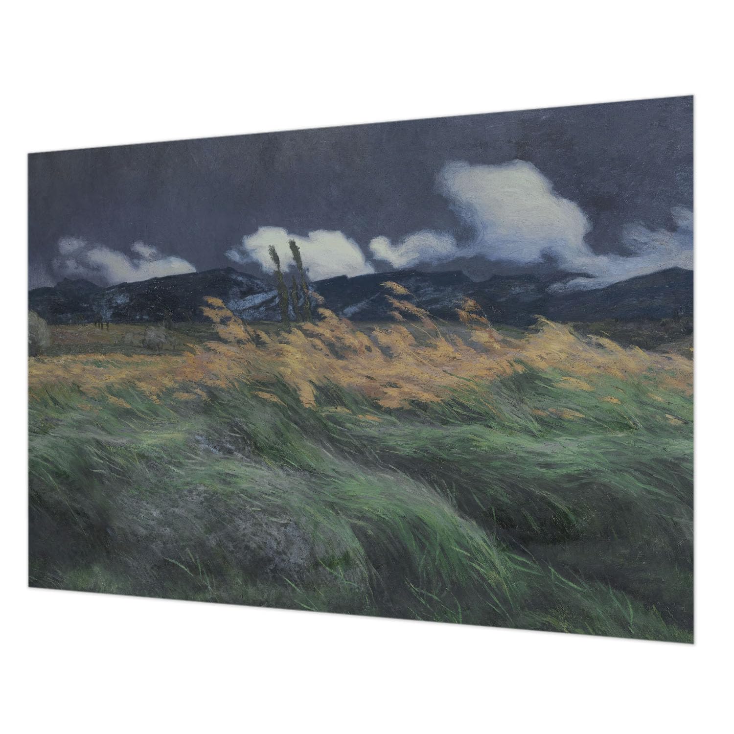 Papier peint décoratif herbes soufflées 208x146 cm avec colle