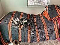 Review Image by Marc h