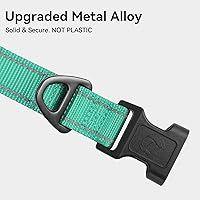 Vista 3 de Joytale - Collar reflectante para perro, collar de nailon transpirable con acolchado de neopreno suave para mascotas, ajustable para perros Verde