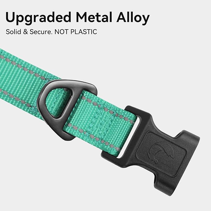 Collar Reflectante para Perro Joytale, Neopreno Suave, Nailon, Teal, L miniatura 3