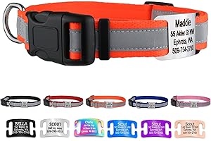 Reflective Personalized Waterproof Dog Collar with No-Noise ID Tag