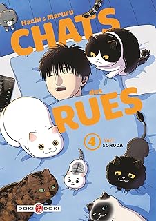 couverture de : Chats des rues
