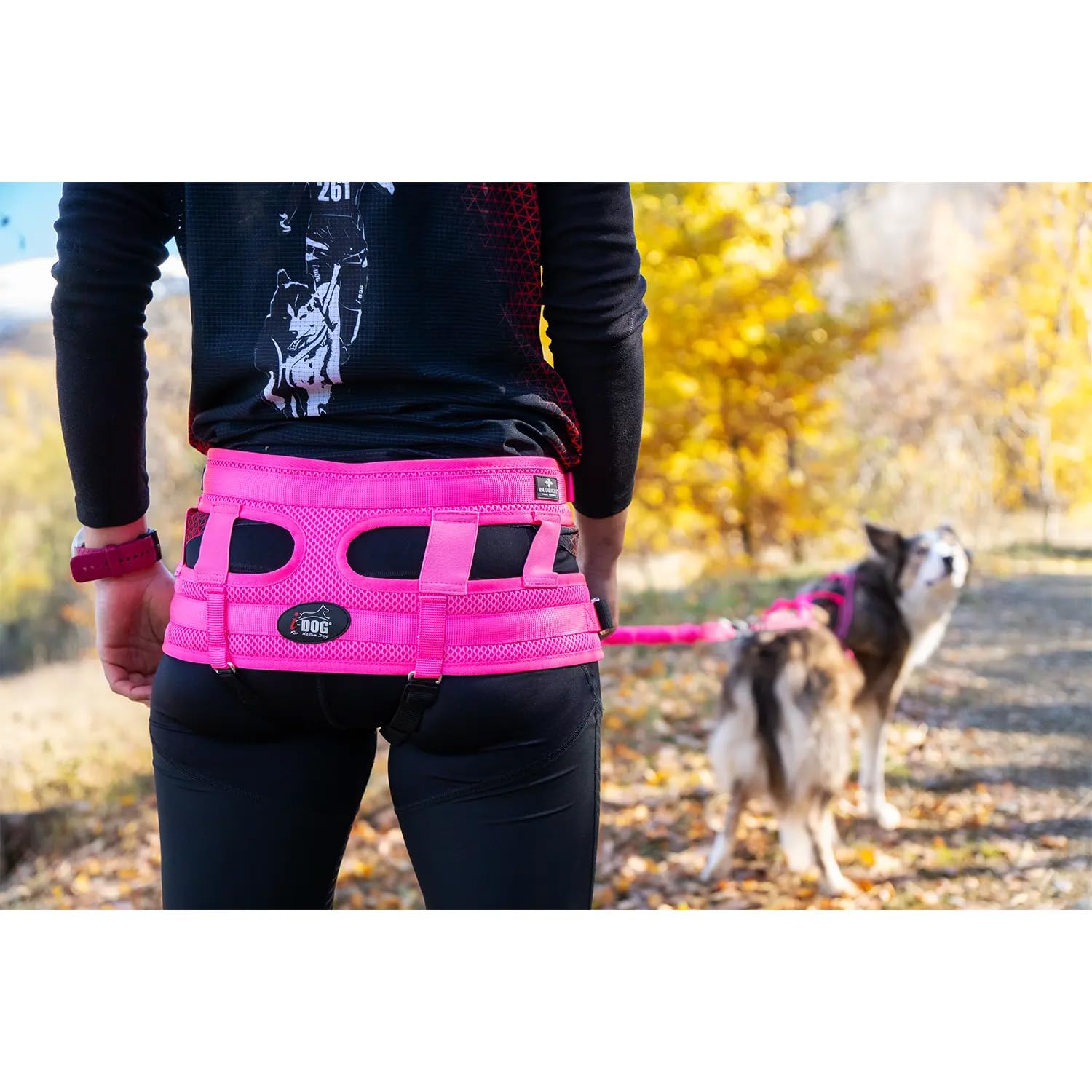 Baudrier Ceinture RAIDLIGHT I-dog Marque Française Taille Unique Rose pour Chien Cross Rando Jogging Trail