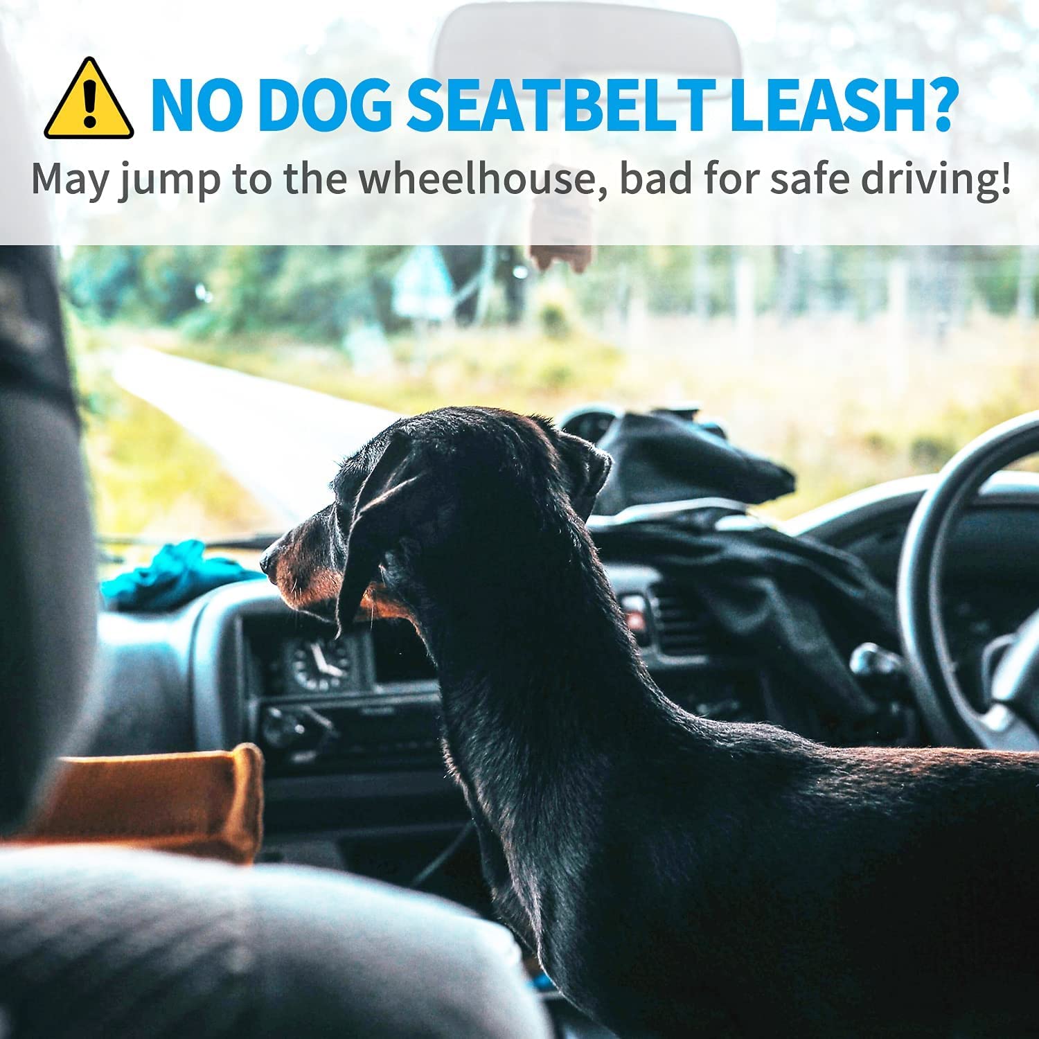 WapaW Pet Car Seat Belt - Car Harness for Dogs Adjustable Safety Seat Belt for Car. Durable Nylon Reflective Elastic with Bungee Buffer for Shock Attenuation (Bungee CAR Belt_Pack of 1, Black/Grey) 2