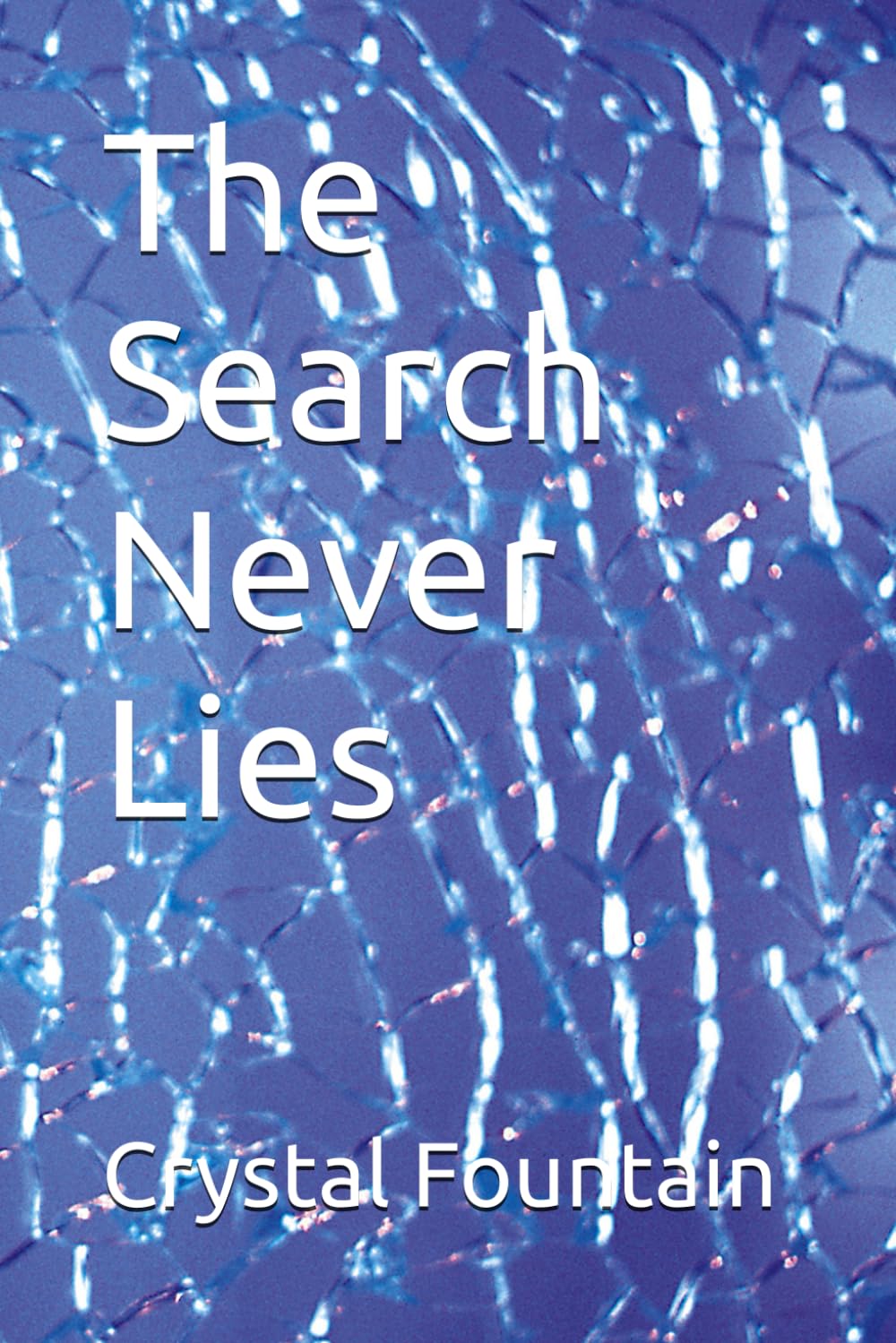 The Search Never Lies (The Buried Abstract Series)