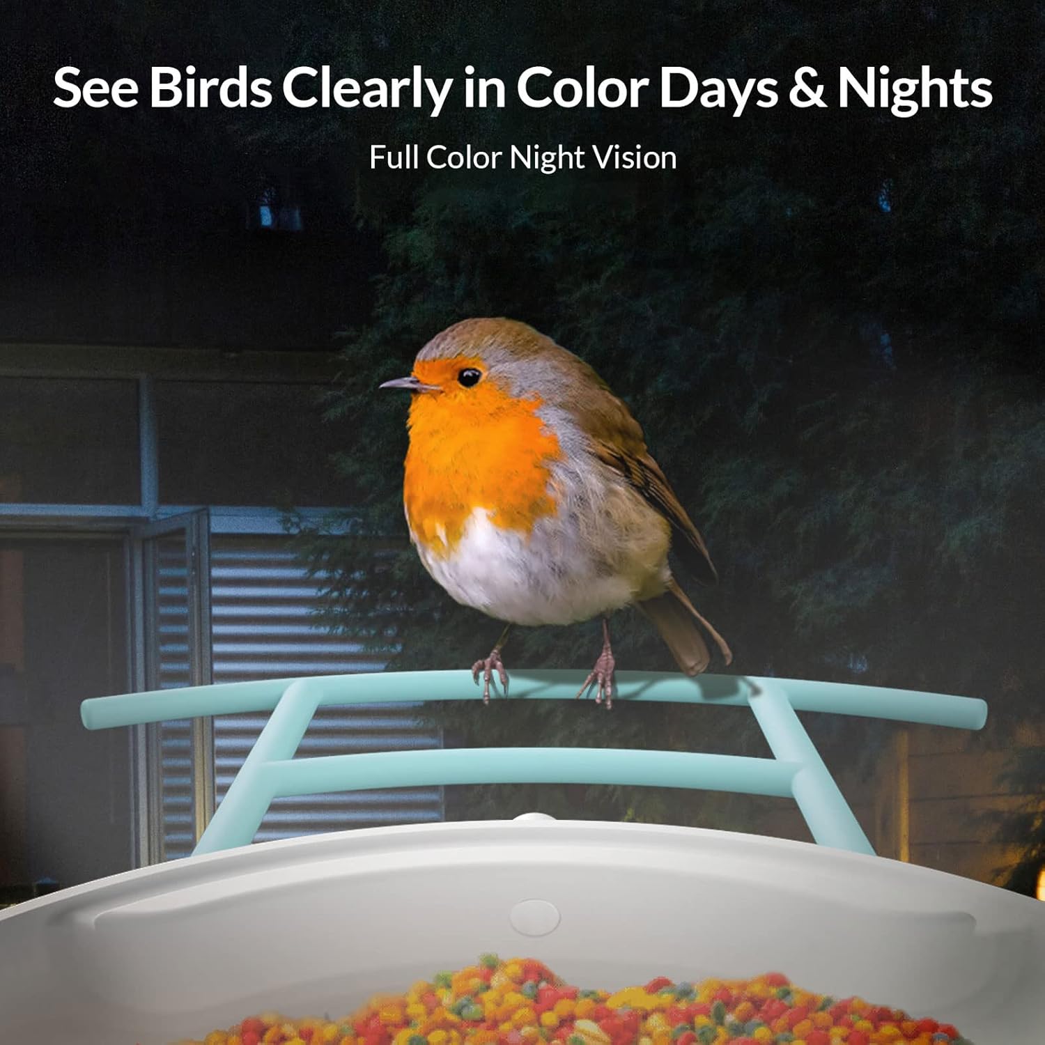NETVUE by Birdfy Smart Bird Feeder with Camera with Hummingbird Feeder Perch, Attracting More Bird Species