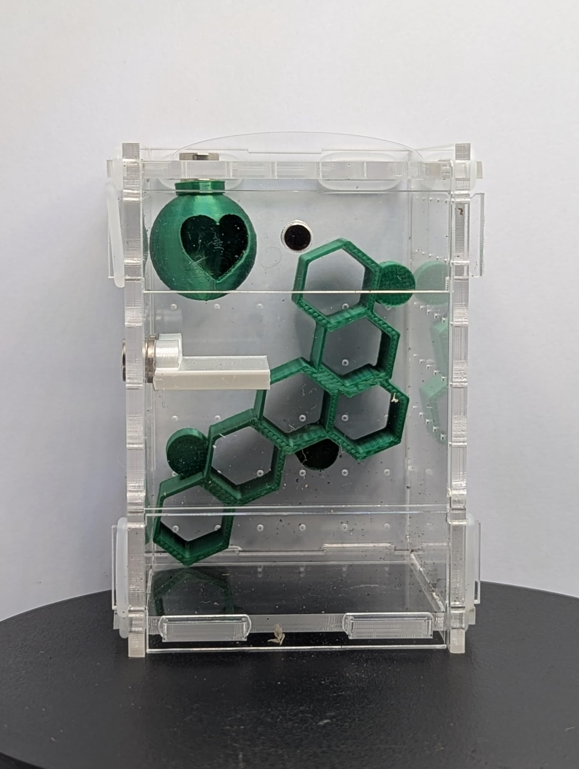 Jumping Spider Enclosure Full Setup with Decor included! Suitable for slings, pet spider, front opening, very secure 6cm X 6cm X 9cm Kit 360 Viewing (Gold) — view 10