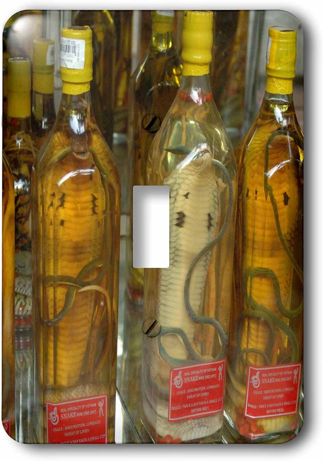 3dRose lsp_226094_1 Single Toggle Switch