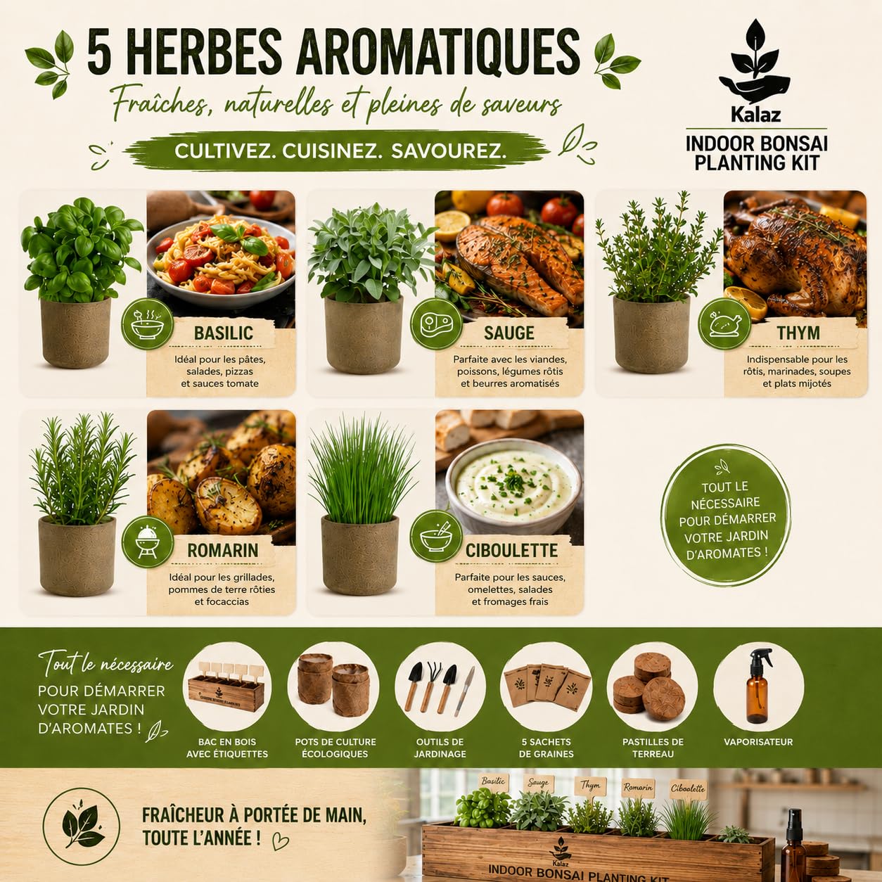 zestaw ziół aromatycznych