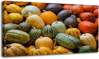 Abstract Wall Art for Living Room Varieties squashes pumpkins Framed Artwork Ready to Hang Landscape Art Modern Wall Decor Posters for Bedroom Office 20"x40"