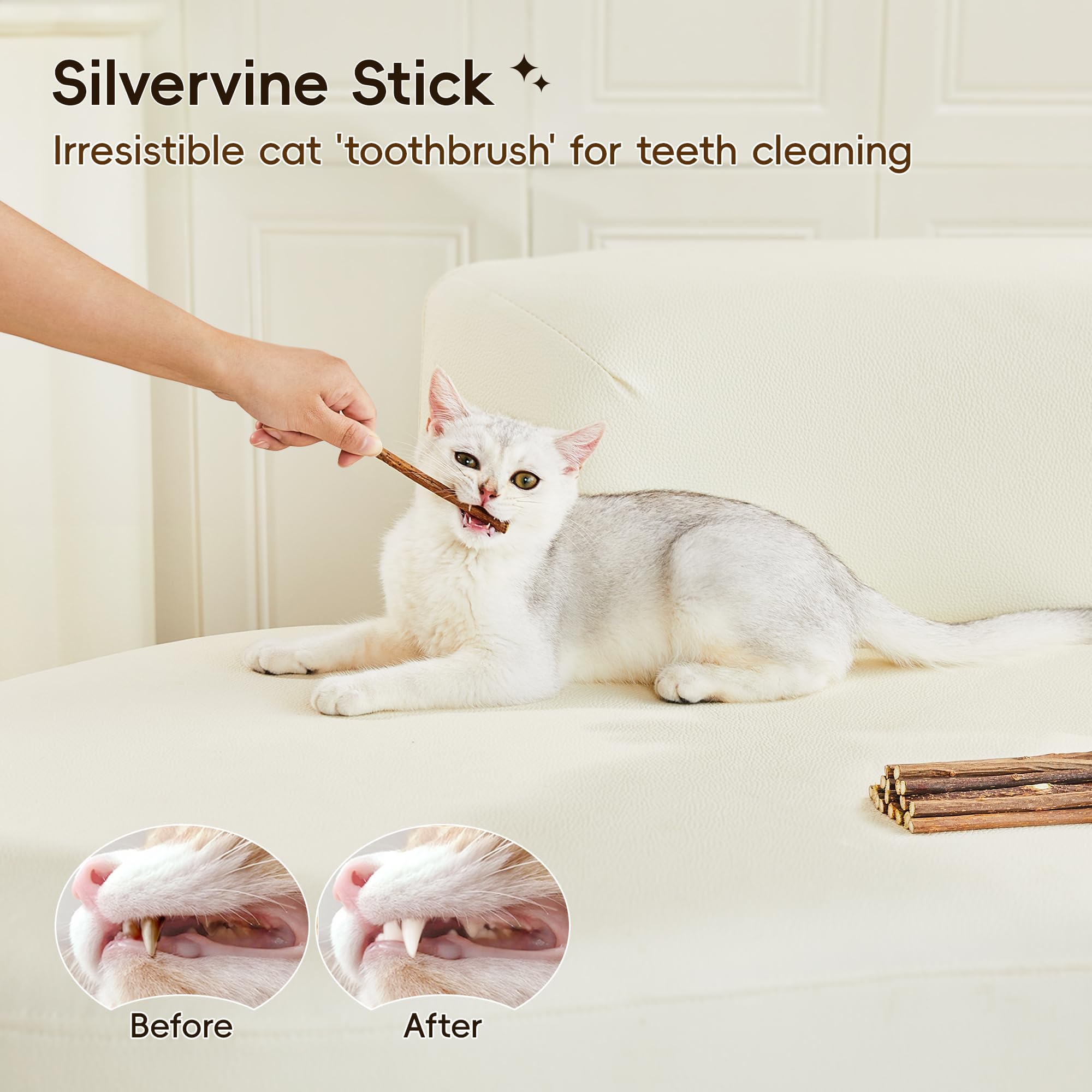 Potaroma Natural Catnip Silvervine Gall Fruit Cat Toys Set with Plush Shell, Organic Kitten Toys for Relaxing and Teething, Interactive Cat Kicker Set (2.2" Dia Tubes)