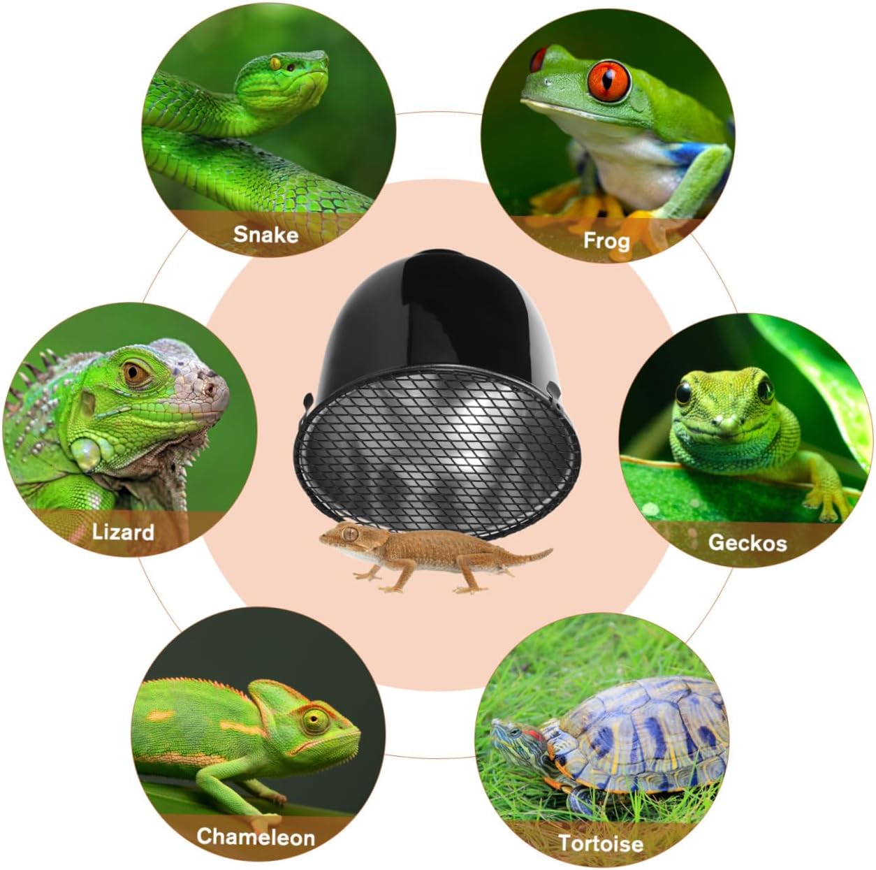 DECHOUS 2pcs Reptile Heating Lamp Shade - 5. 5 Inch Aluminum Reflective Light Cover for Glass Terrariums and Pet Heat Lamp Guard
