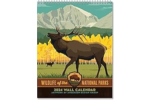 Americanflat 2024 Fox Wall Calendar - Bring the Wild into Your Home