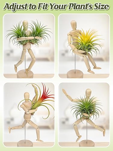 Miniatura 4 de ANPHSIN 4 soportes de madera para plantas de aire, soporte único articulado para plantas de aire con posturas ajustables, contenedor de exhibición