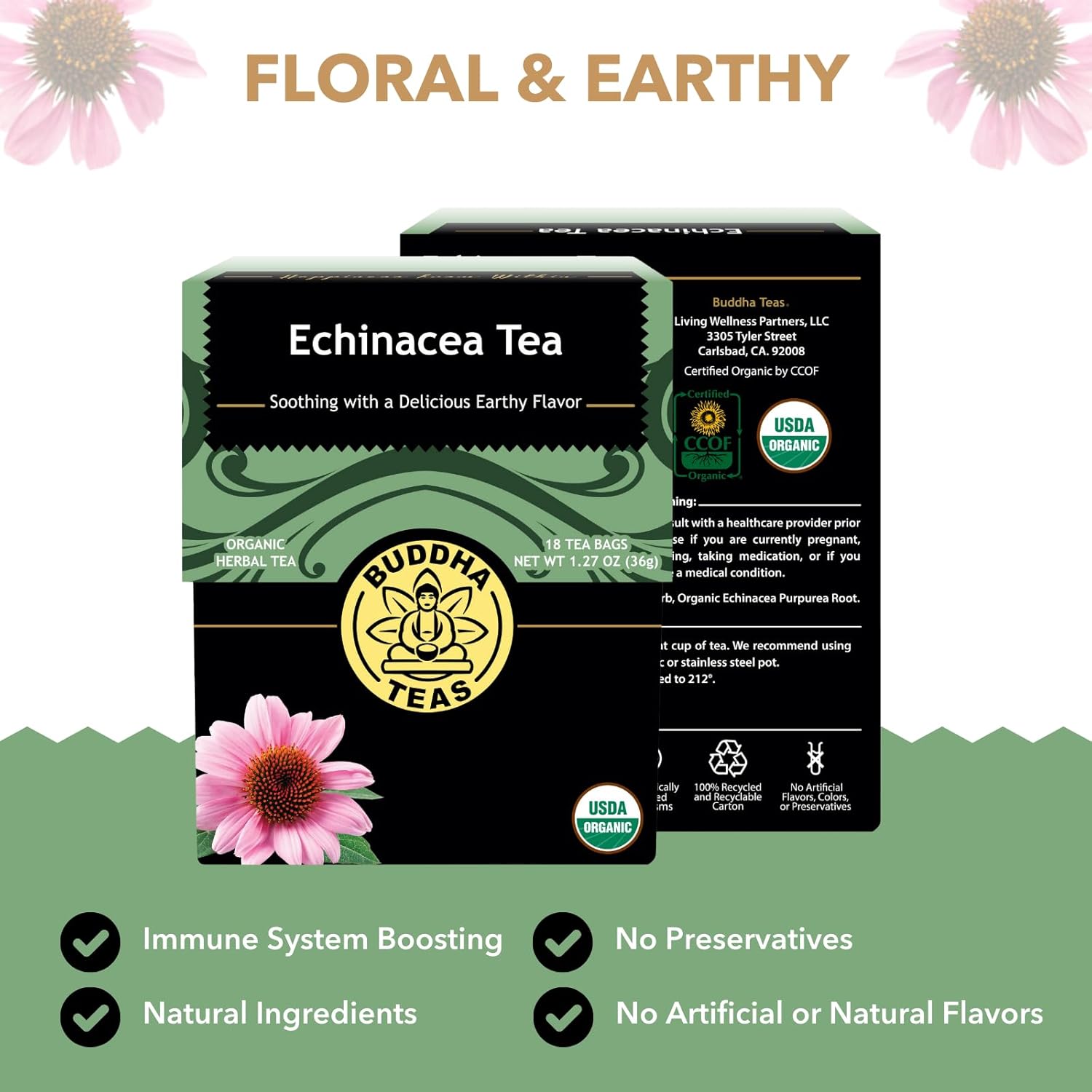 Buddha Teas - Organic Echinacea Tea - Herbal Tea - Immune Boosting - With Antioxidants & Minerals - Clean Ingredients - Caffeine Free - 18 Tea Bags (Pack of 2)