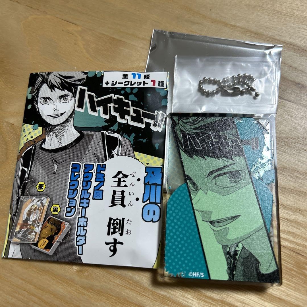ハイキュー　及川の全員倒す　ドミノ風アクリルキーホルダー　コレクション　10個 Amazon.co.jp: 6個セット ハイキュー 及川の全員倒すドミノ風