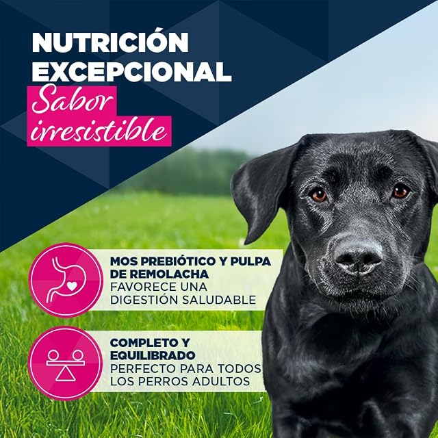 Foto 3 de 7 de EUKANUBA Alimento Húmedo para Perros Adultos con Pavo y Zanahoria, 6 x 400g