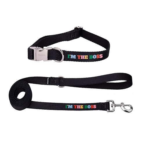 Fisura - Conjunto de Collar y Correa para Perros pequeños y medianos con Mensaje “I’m The Boss”. Juego…