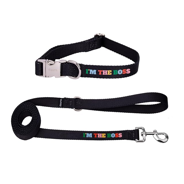 Fisura - Conjunto de Collar y Correa para Perros pequeños y medianos con Mensaje “I’m The Boss”. Juego…