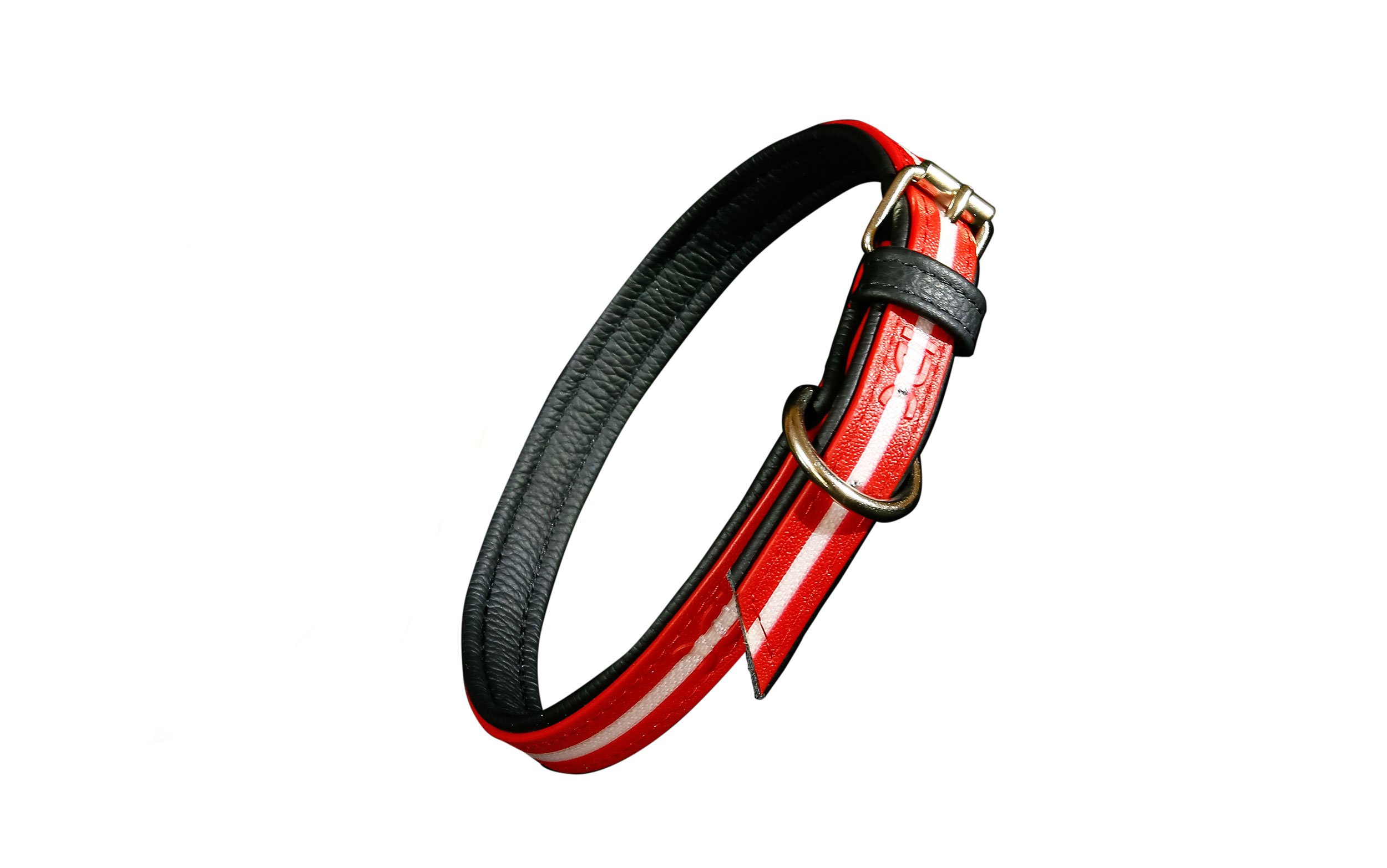 Julius-K9 IDC Lumino Phosphorescent Collar, 25 mm x 70 cm, Red