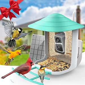 Smart Bird Feeder Camera with AI Bird Species Identification, Auto Video Motion Activated, Outdoor (Green) asin的图片
