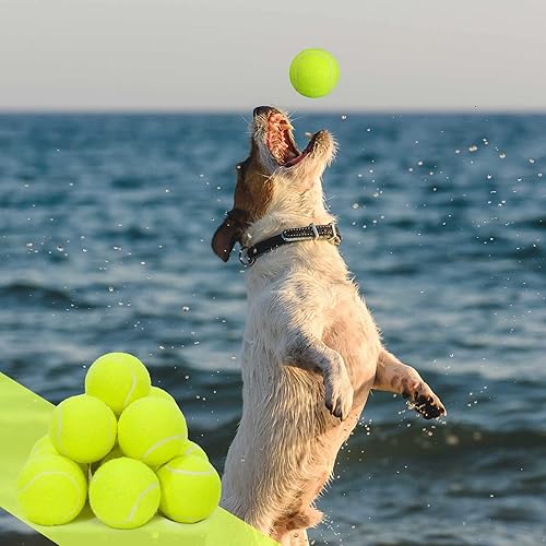 Miniatura 7 de Lenwen Paquete de 50 pelotas de tenis para perros, pelotas de tenis para entrenamiento de mascotas, 2.5 pulgadas, de goma, interactivas, juguetes