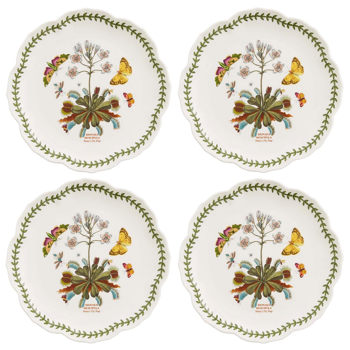 Amazon.com | Portmeirion Botanic Garden Lotus Salad Plates, Set of