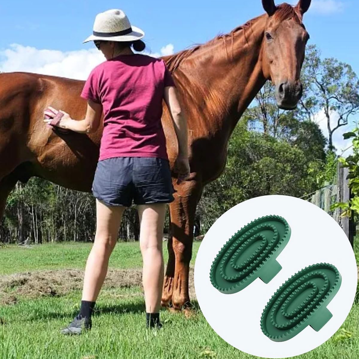 Lot de 2 Peignes en Caoutchouc pour Chevaux, Peigne à étrille en Caoutchouc pour éliminer Les Poils, toilettage des Chevaux et Massage