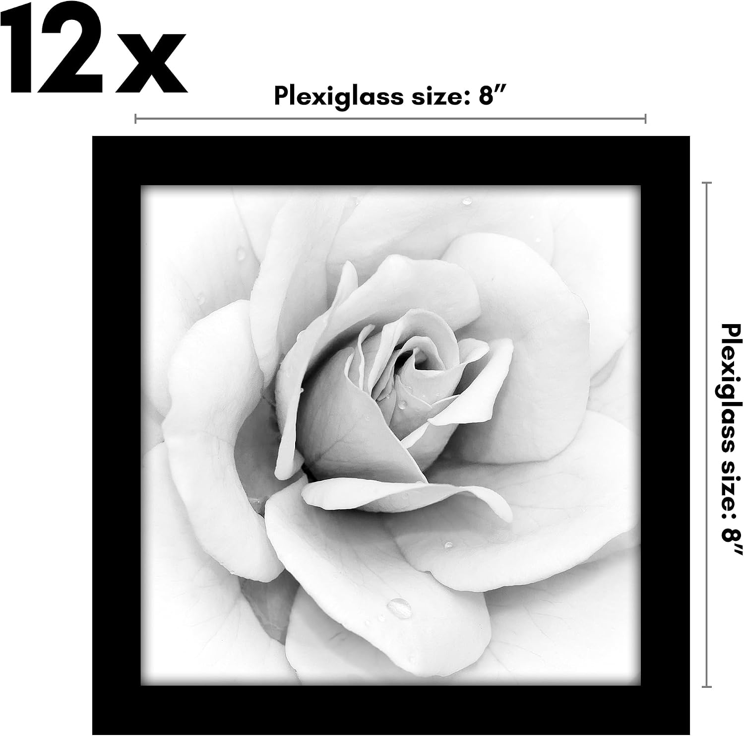 Americanflat 8x8 Picture Frame with Polished Plexiglass - Set of 12 - Signature Collection - Picture Frames with Engineered Wood - Square Frame for Tabletop and Wall Display - Black