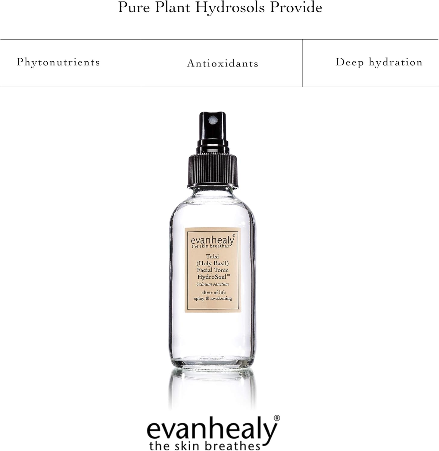 evanhealy Tulsi (Holy Basil) HydroSoul | Copper Distilled Hydrosol | Organic Facial Tonic | Stimulating, Awakening, Purifying Face Toner for All Skin