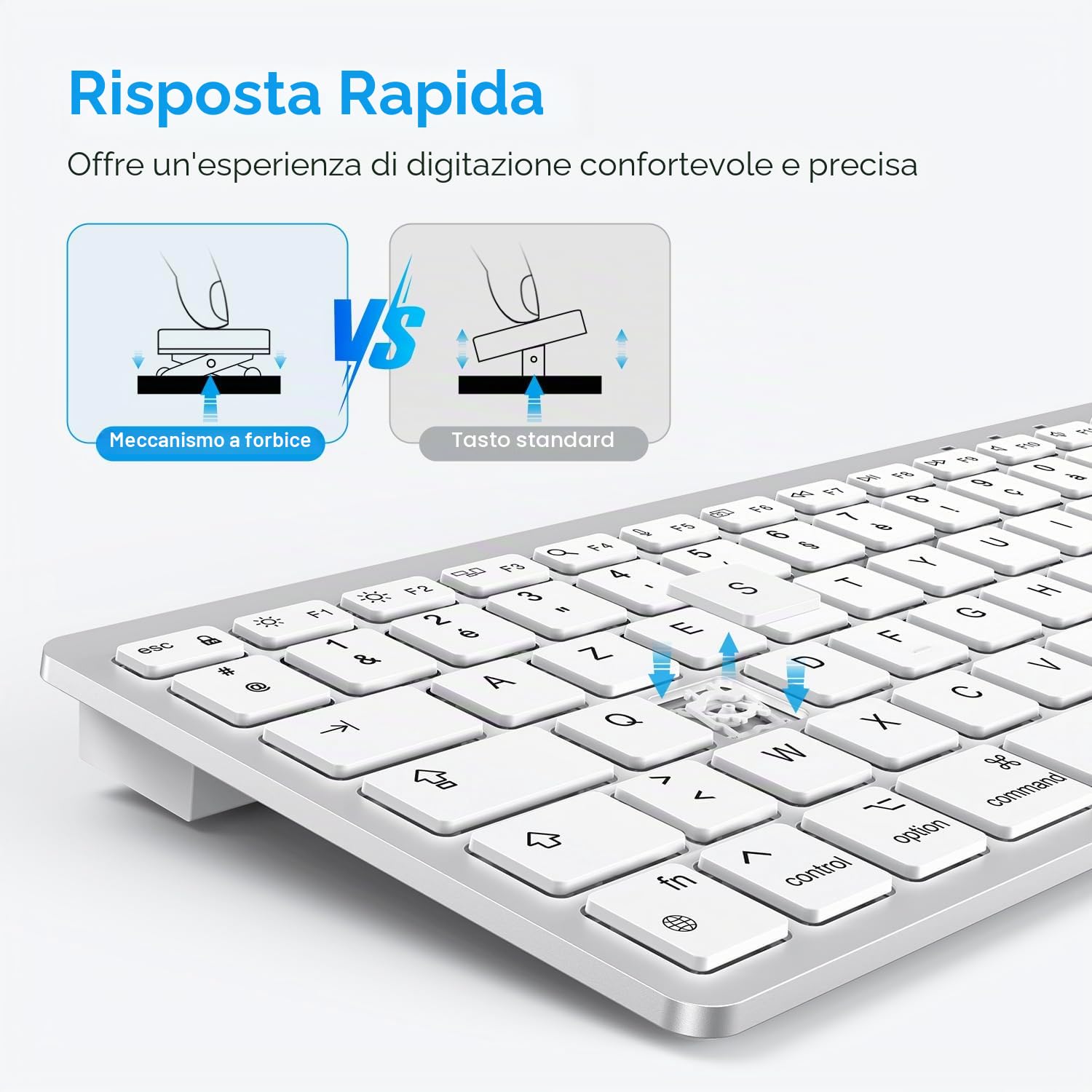 OMOTON Tastiera con cavo per Mac, tastiera con connessione doppia (Type C/USB), tasti silenziosi e connessione stabile, compatibile con Mac, iMac, Mac Mini (AZERTY)
