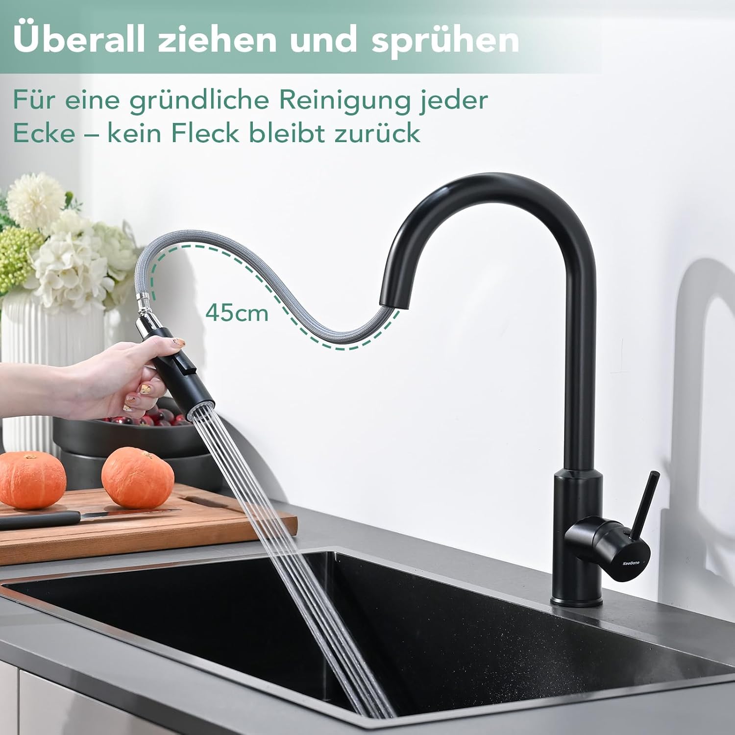 KeeGone Kitchen Faucet with Pull-Out Spray in a modern kitchen setting