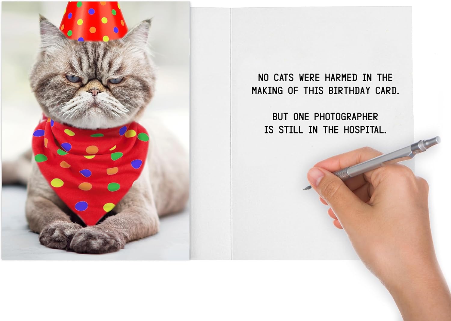 Funny Cat Birthday Card for Women, Men, Coworkers, Friends & Family - no cats were harmed in the making of this card. - Image 3