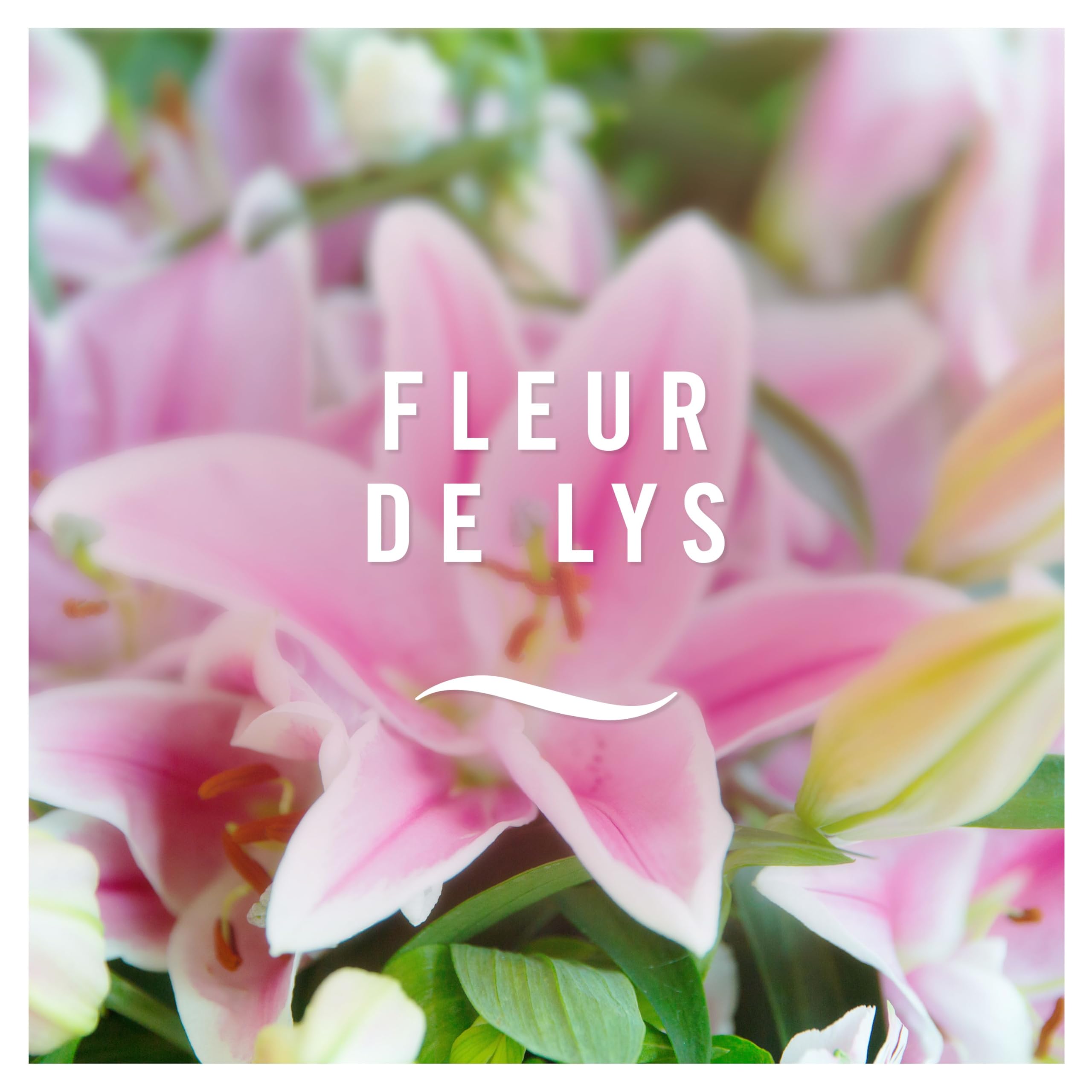 Febreze Désodorisant Électrique, Kit de Démarrage (1 Diffuseur + 4 Recharges de 20ml + 3 Parfums en Alternance), Parfum Fleur de Lys, Combat les Odeurs en Continu, Fraîcheur Jusqu'à 90 Jours