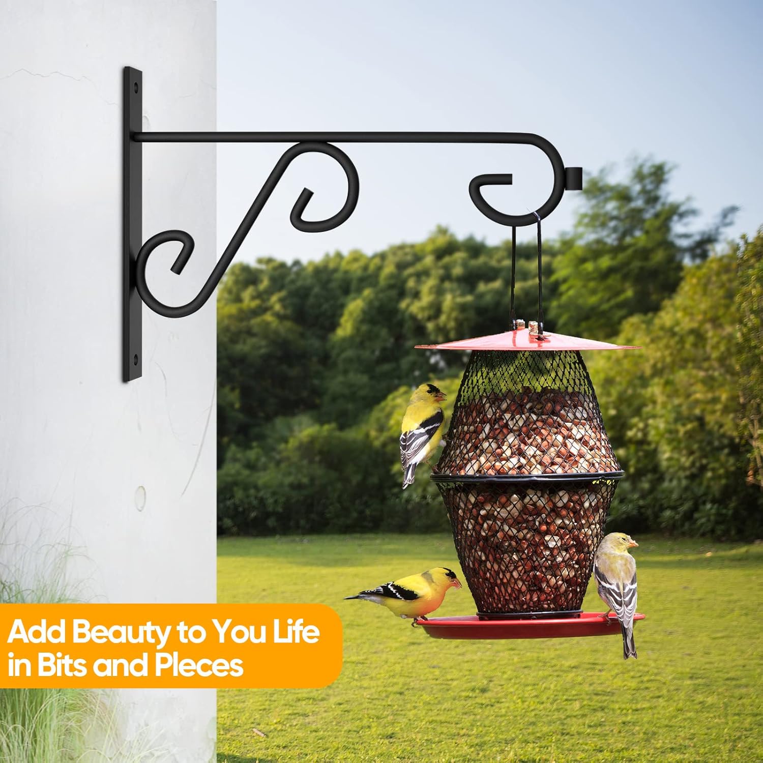 Plant Hanger Bulk,12Inch 8Pack Metal Wall Hook,Anti-Rust Indoor Outdoor Wall Hangers for Bird Feeders, Planters, Lanterns, Wind Chimes,Doorplate., Black