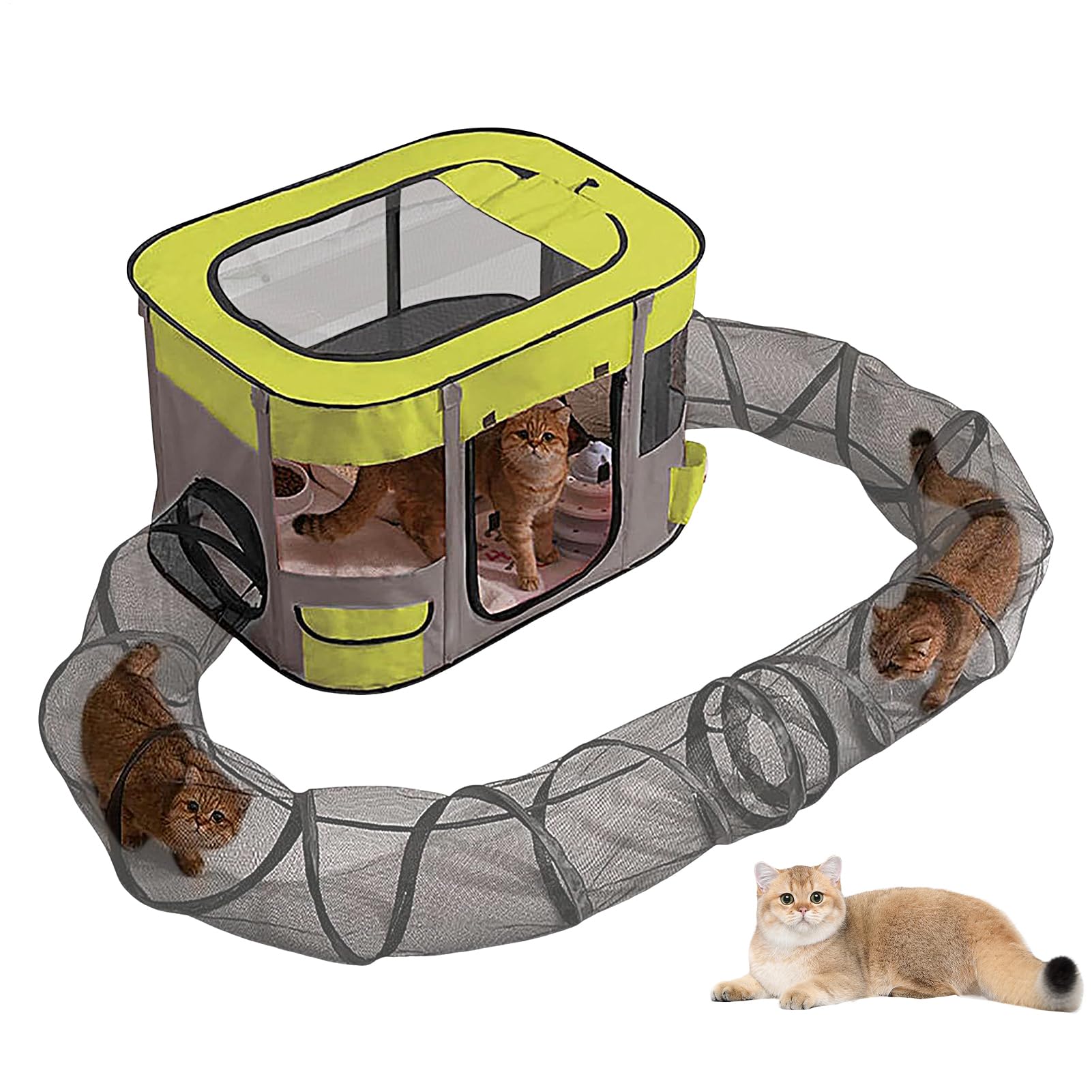 Outdoor Katzenzelt Geräumig, mit einfachem, als Spielzeug für gelangweilte