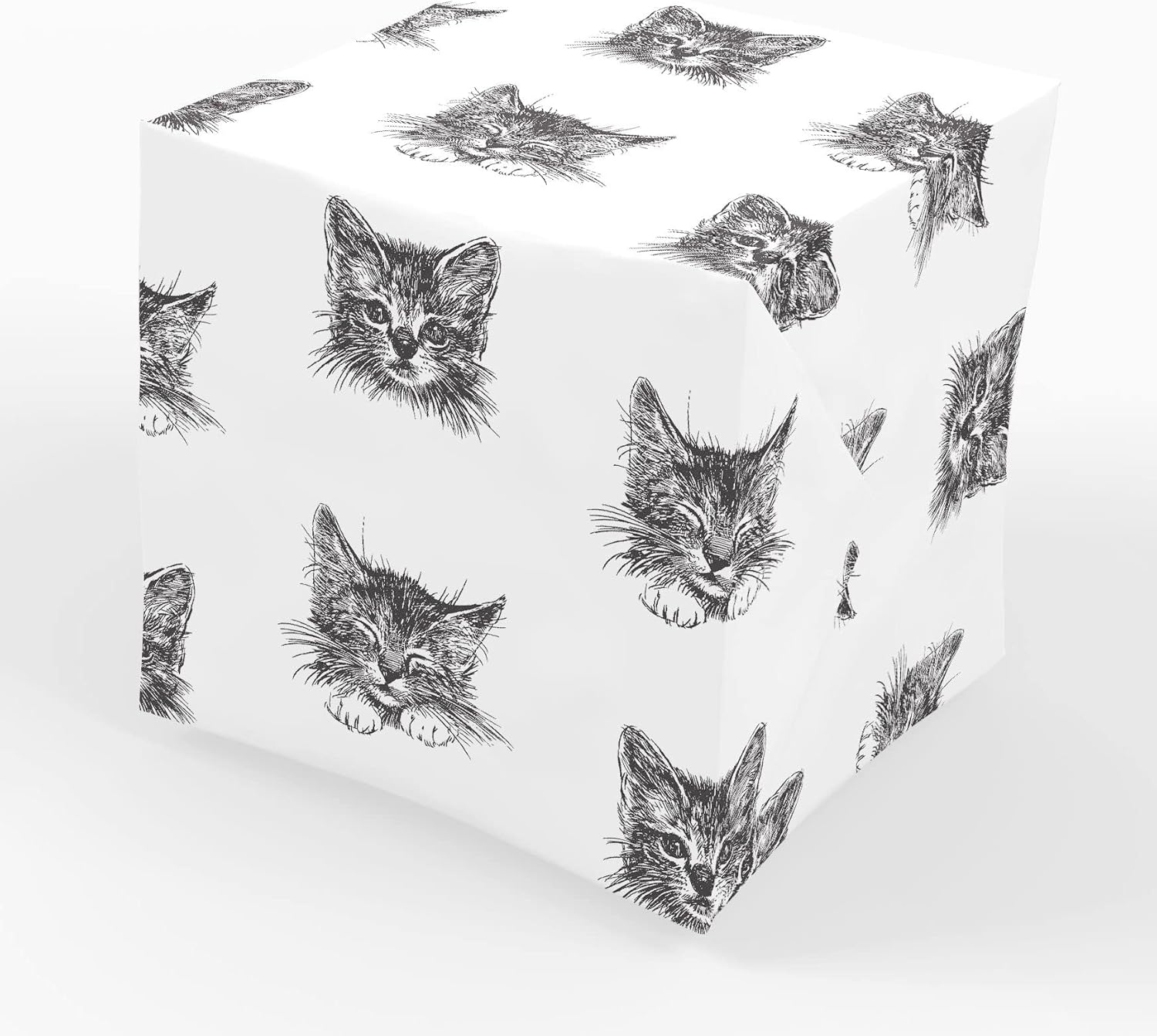 Stesha Party Black Kitty Cat Wrapping Paper Kitten Animal