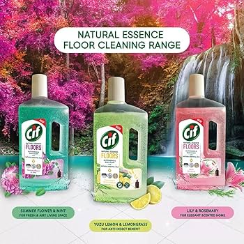 衛生日用品 summer CIF FLOOR CLEANER SUMMER FLOWER AND MINT 1kg : Amazon.in: Health