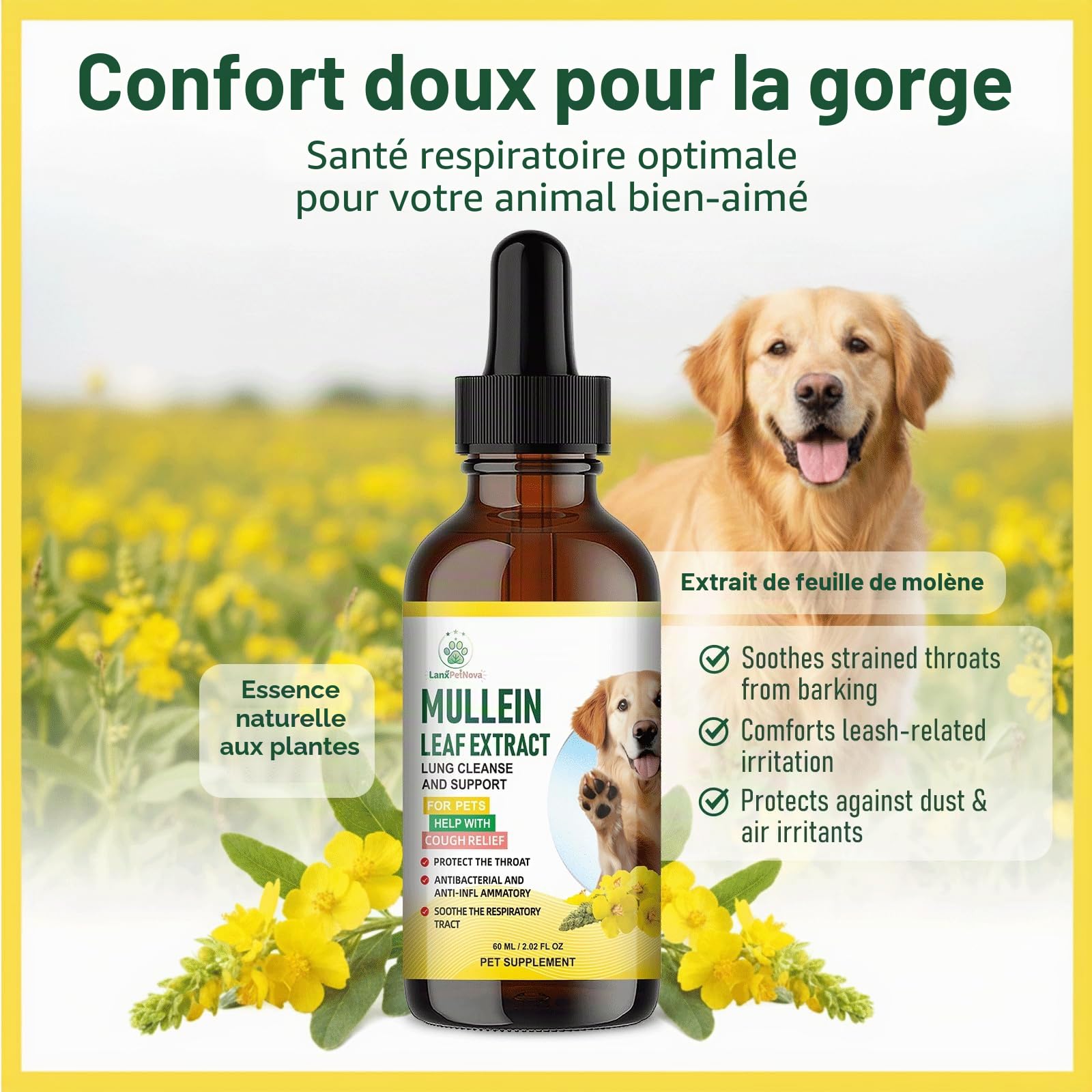 Gouttes de molène, Soutien pulmonaire et antitussif pour Chiens et Chats. Atténue la toux de chenil, la toux sèche et grasse, nettoie Les poumons,apaise la Gorge irritée et facilite la Respiration