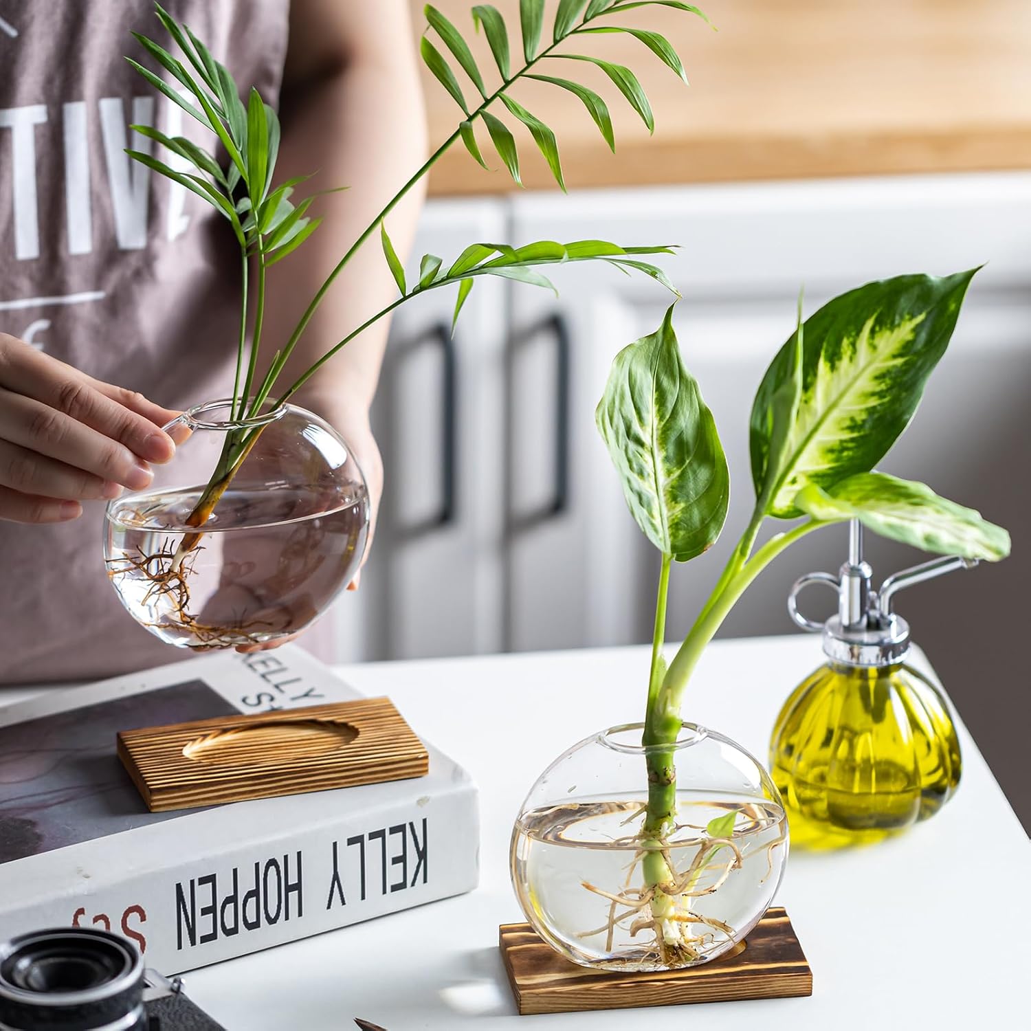 Glass Planter Propagation Station with Wooden Base - Clear Oblate Hydroponic Vase, Decorative Desktop Flower Vase for Home, Office, Windowsill - Gift for Plant Lovers (2) - Image 4